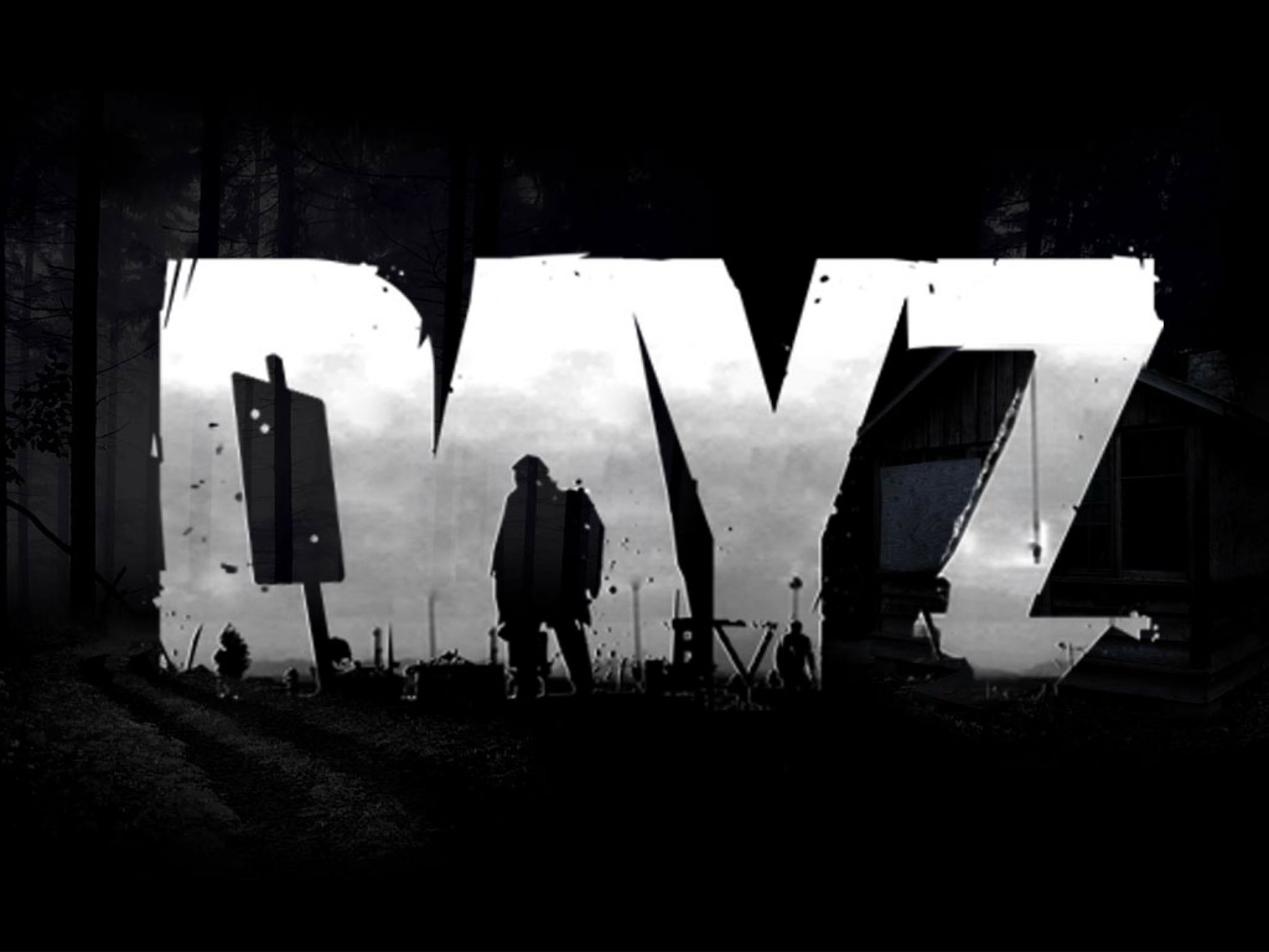 DayZ - Standard Edition
